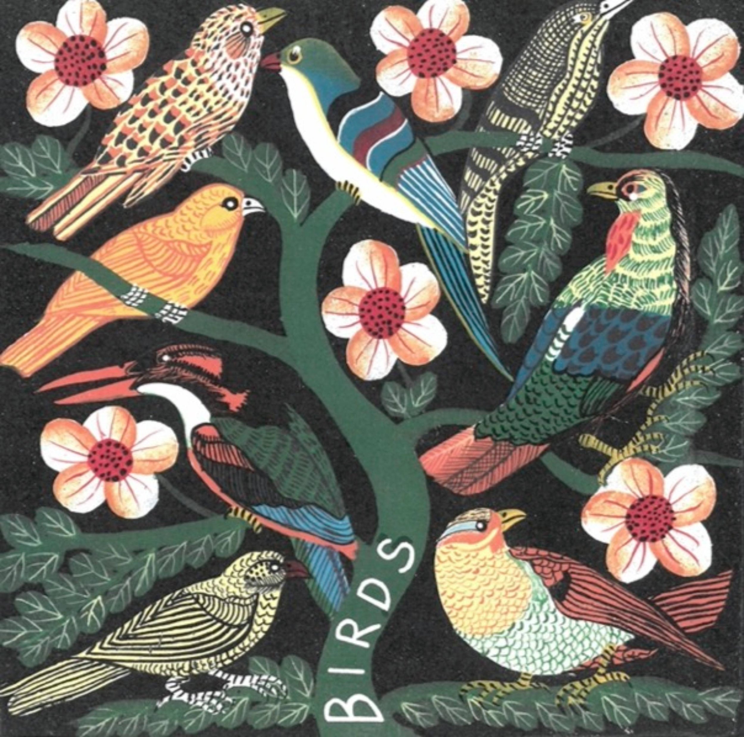 Birds cover-kopi.jpg