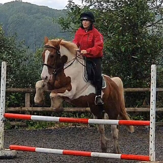 Rob and Norman getting some jump schooling in ready for BHS training 🐴🤩
#ridingschool #bhsapproved #bhstraining #bestcobs #superboys #wewillbeback