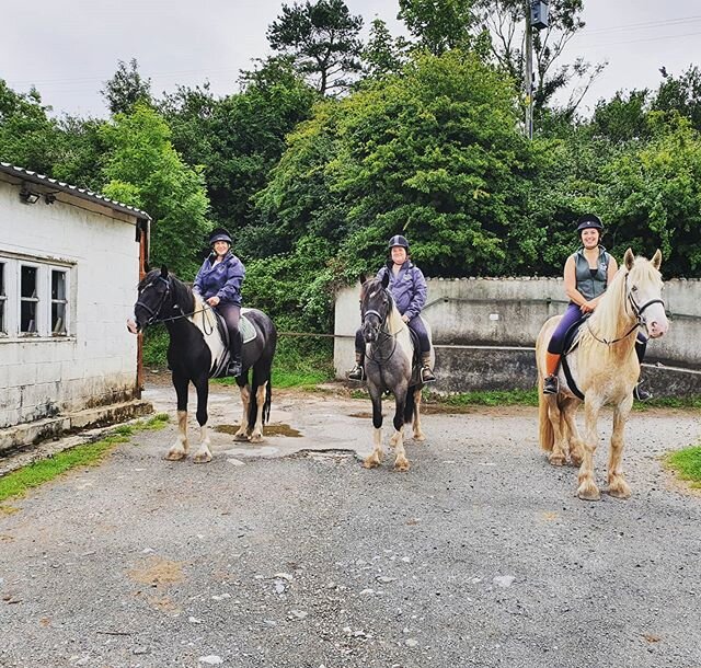 The 3 amigos 🐴🤩
So lovely to be able to hack out all the 4 year olds together, they are such a fab bunch 🥰
#ridingschool #youngsters #traininghorses #besthorses #supercobs #palomino #blagdoncob #piebalds #cobscobscobs