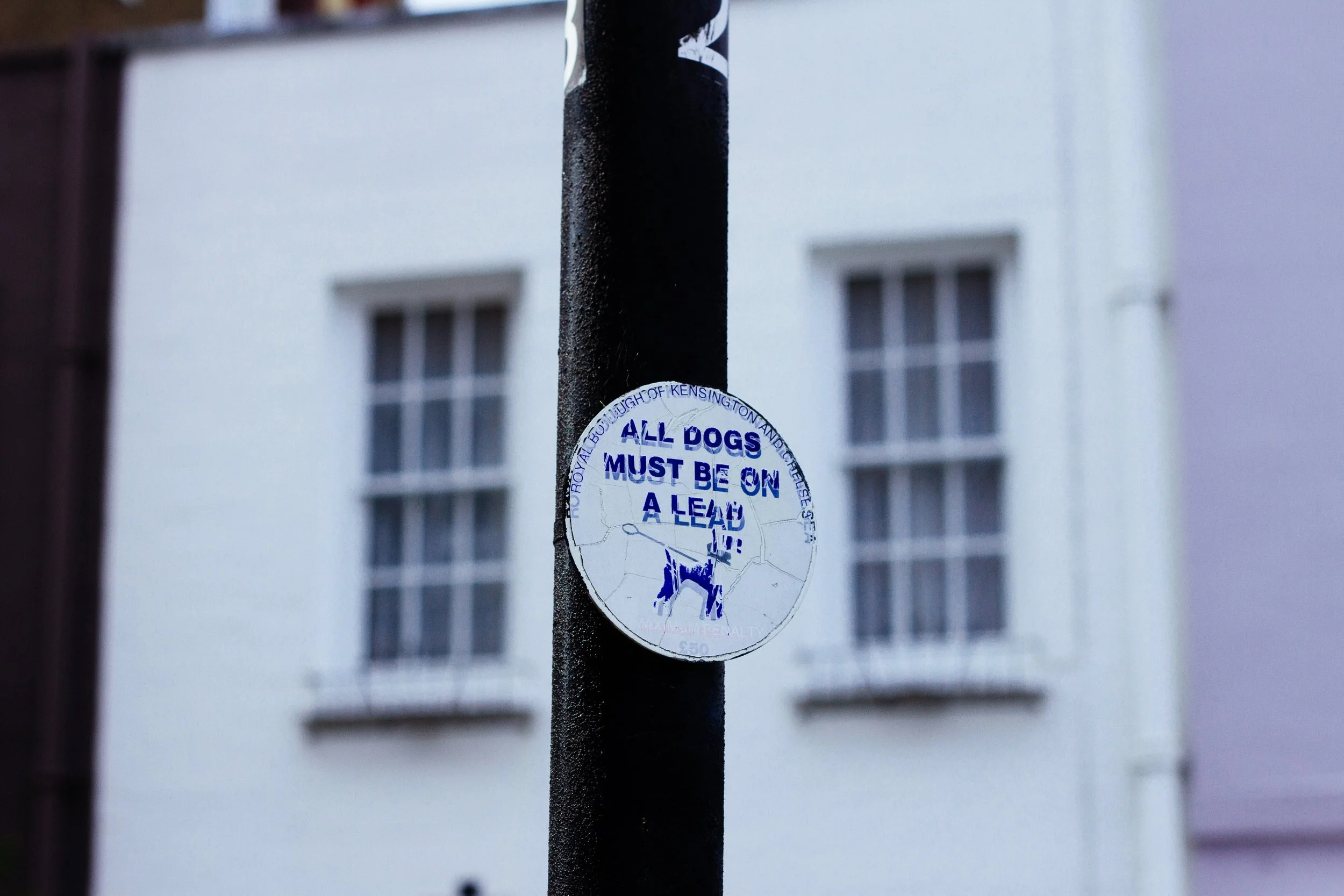 LeniBattalis Print - 1 (6).jpeg