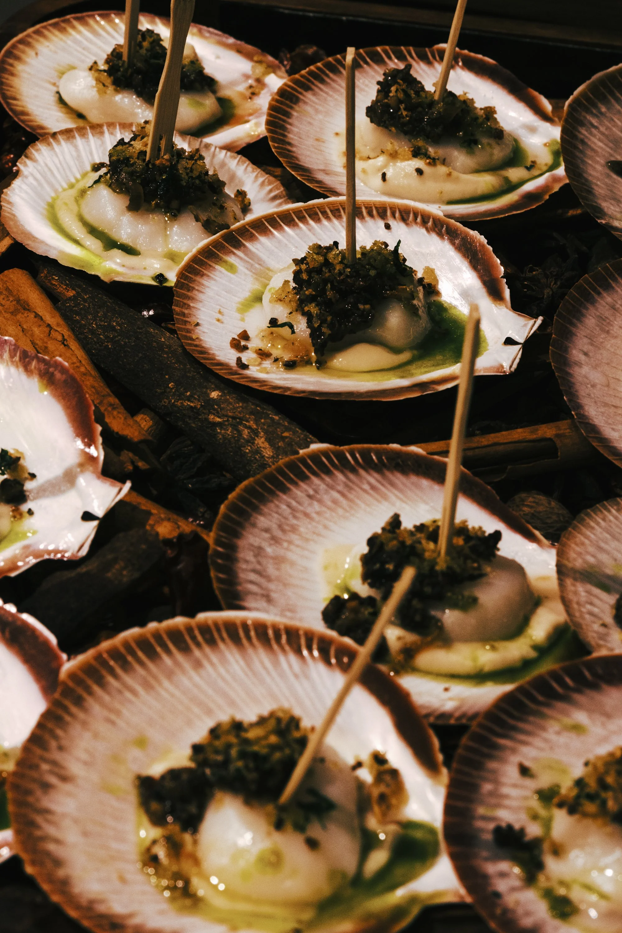 20231026 plane-2.jpg