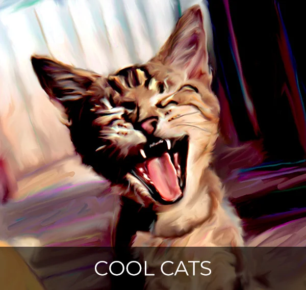cool-cats.jpg