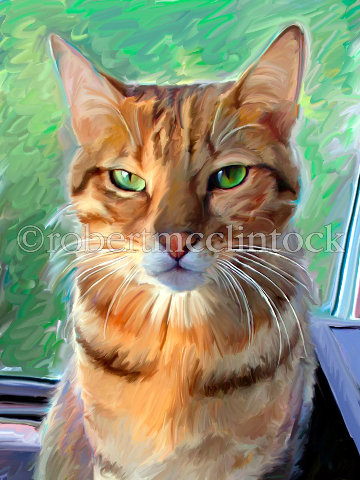 bengal-cat.jpg
