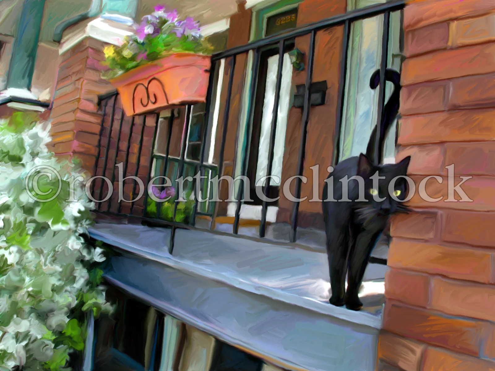 black-bart-on-the-porch.jpg