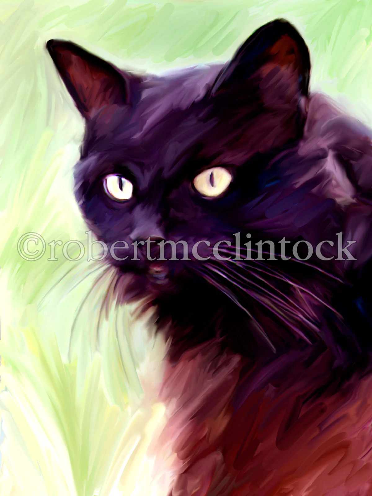biggy-cat.jpg