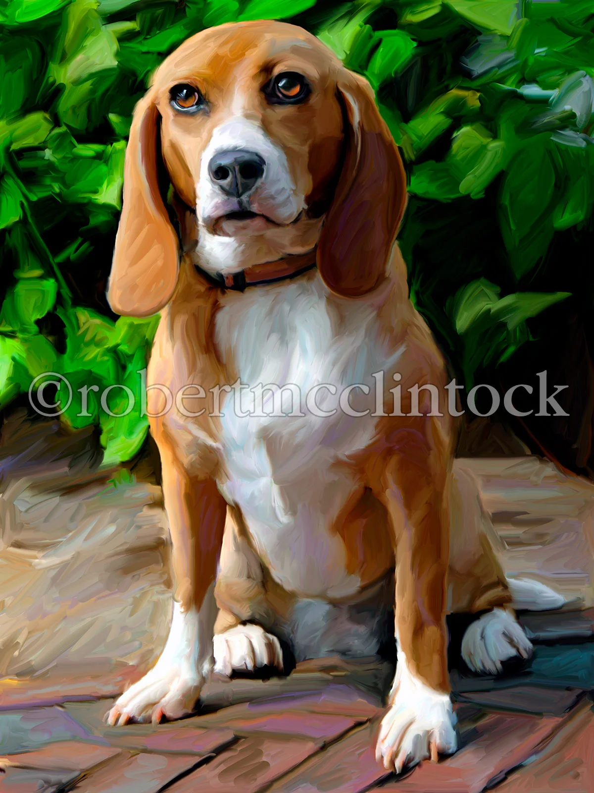 beagle-lucy-soft-touch.jpg