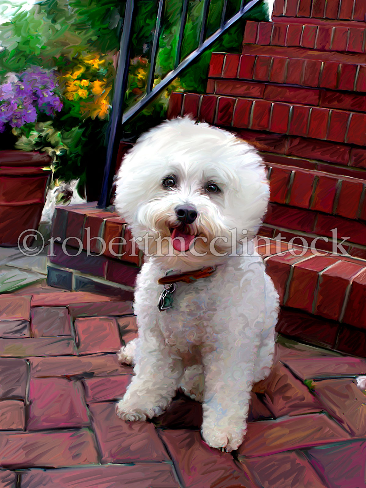 Lujan Grooming Bichón frisé
