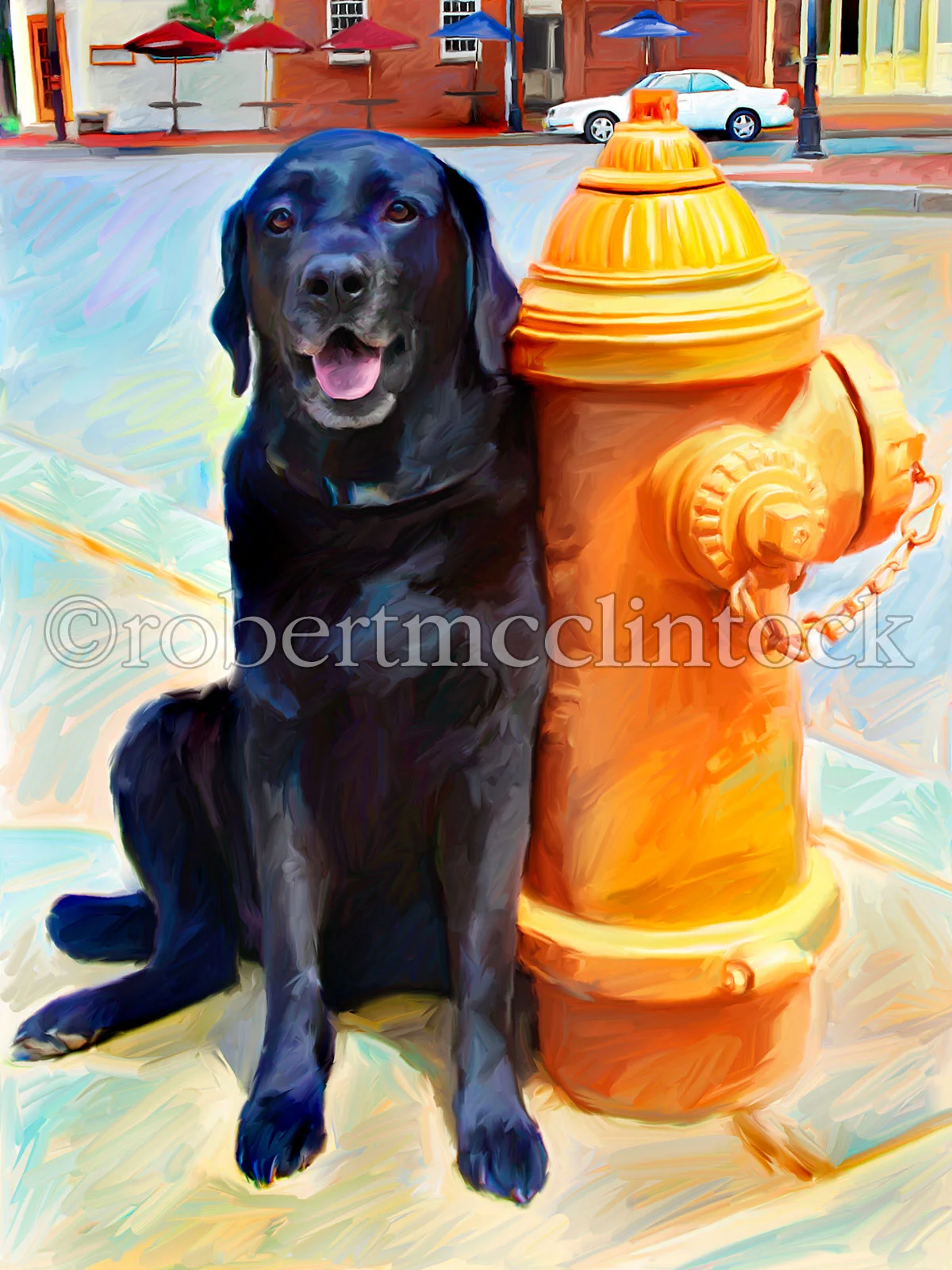 black-lab-jasper-best-of-friends.jpg