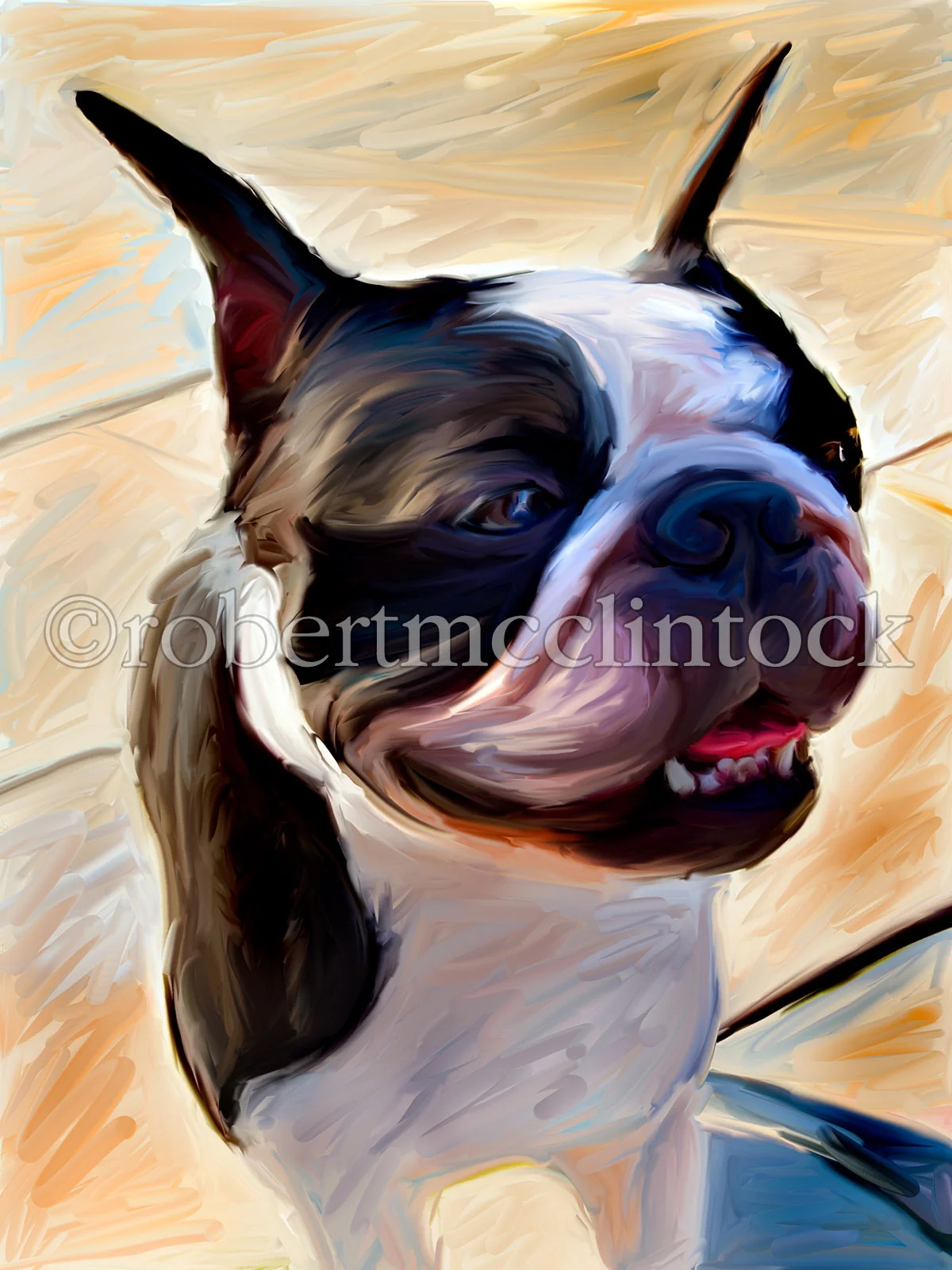 boston-pudge-big-head.jpg