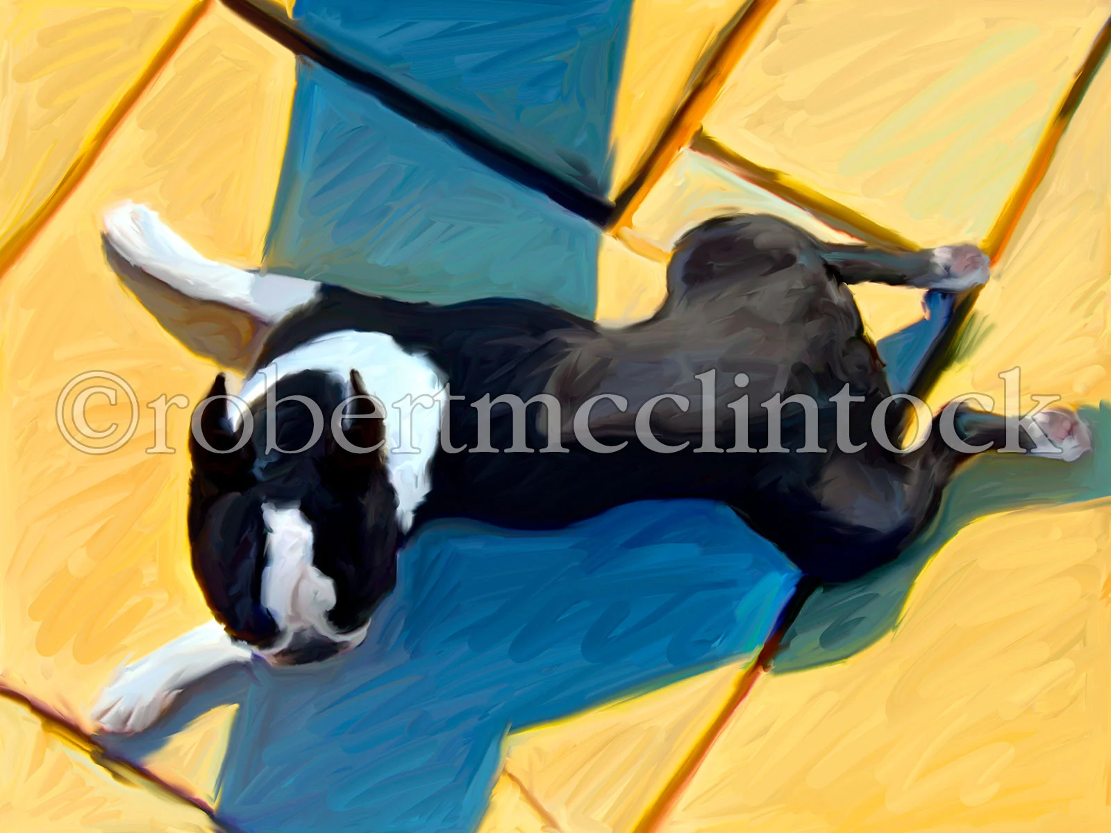 boston-pudge-frog-legs.jpg