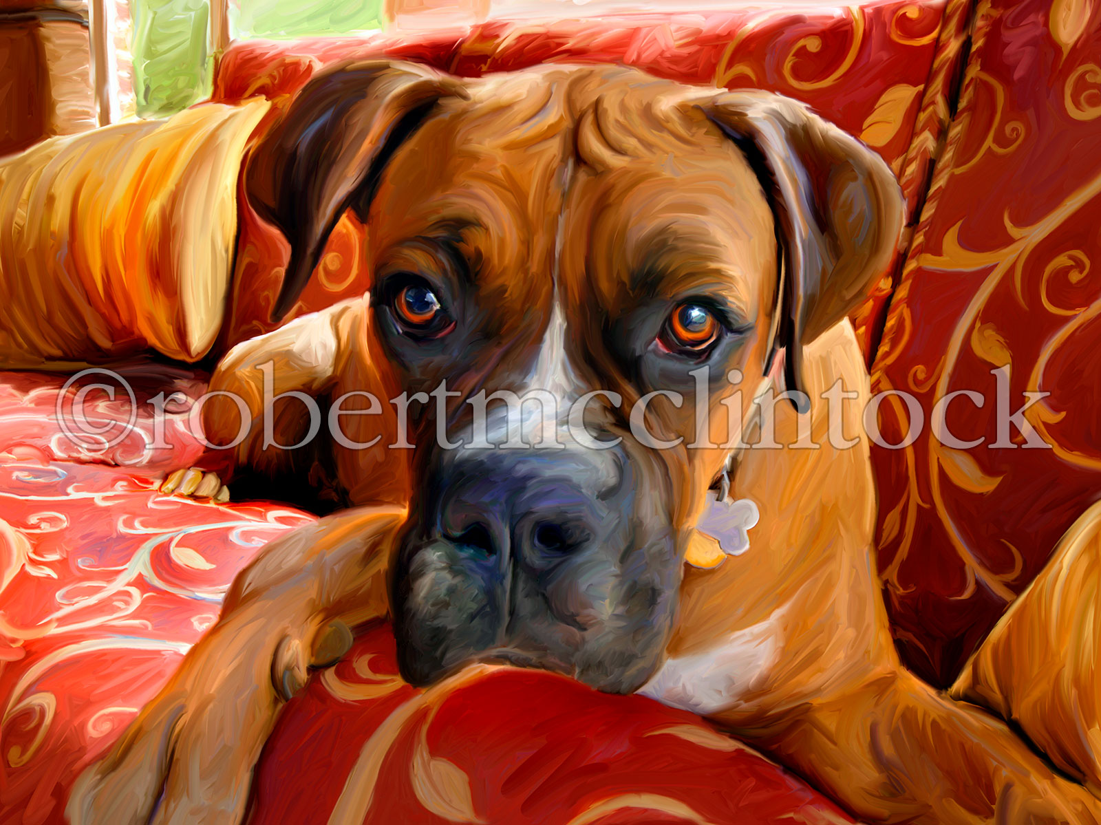 boxer-harry.jpg