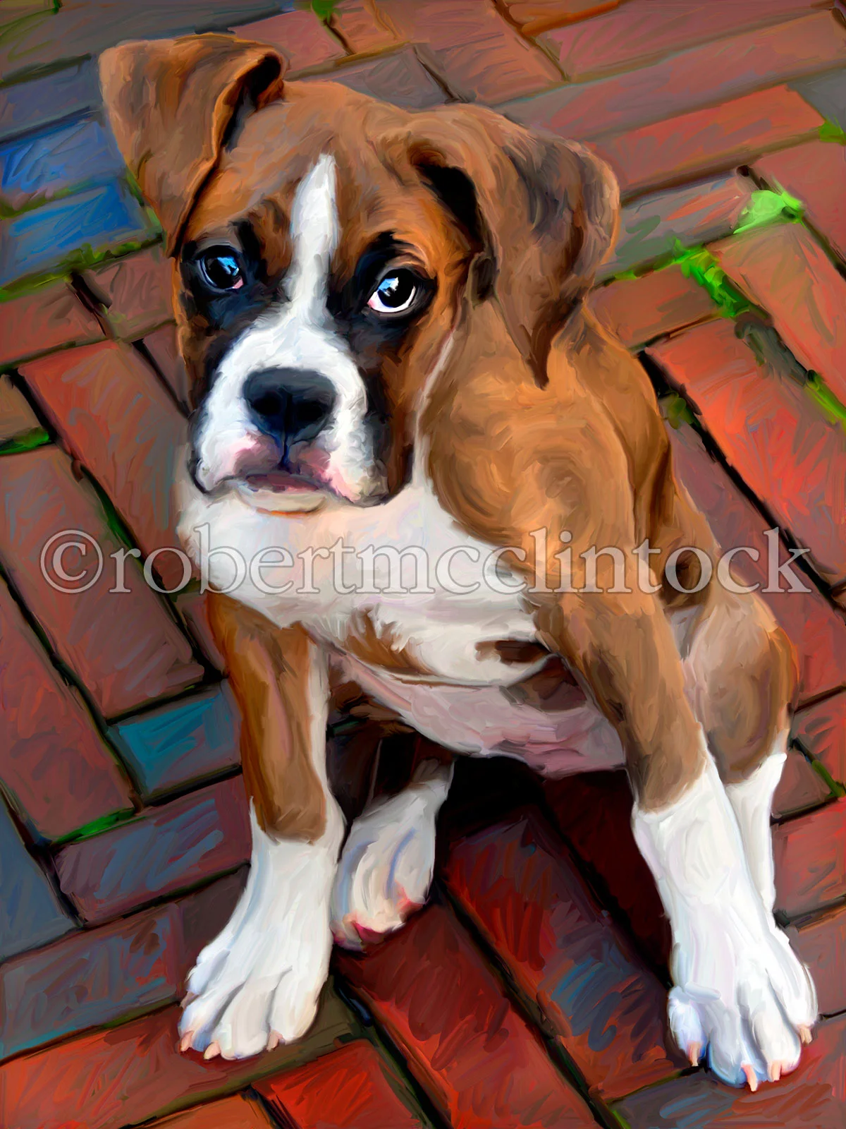 boxer-sophie-baby-boxer.jpg