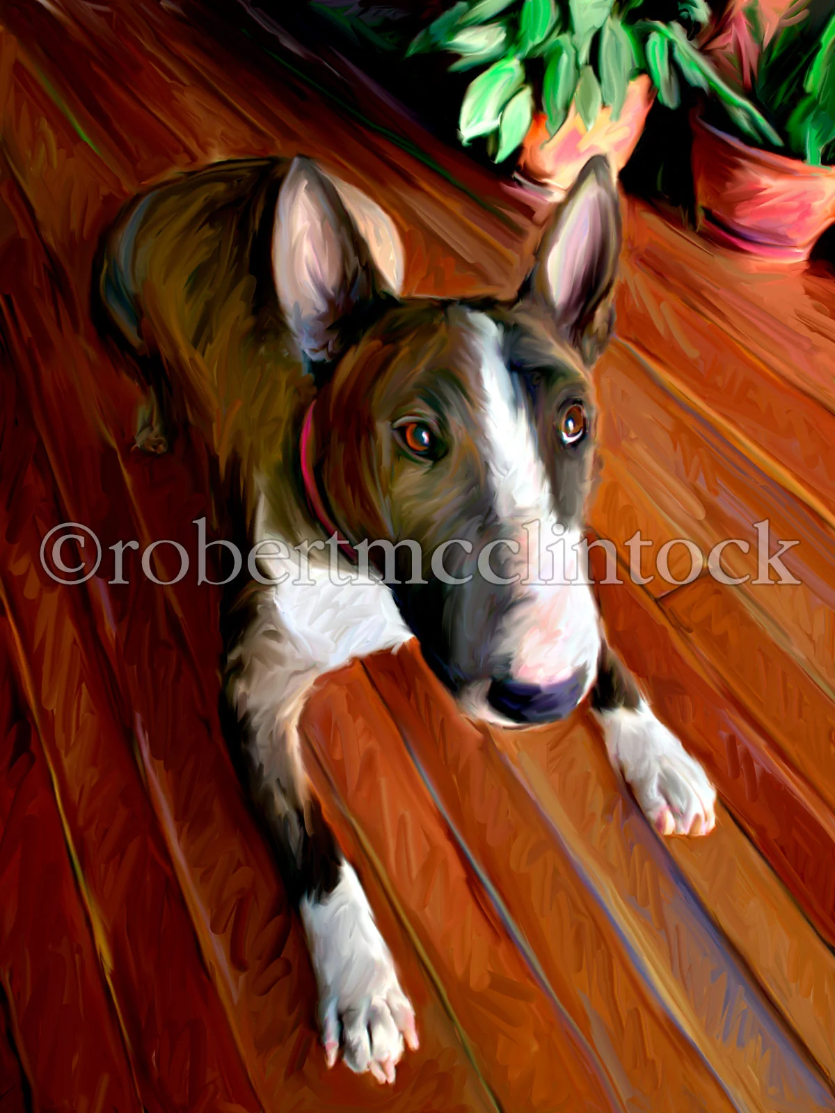 bull-terrier-taz-don't-get-me-started.jpg