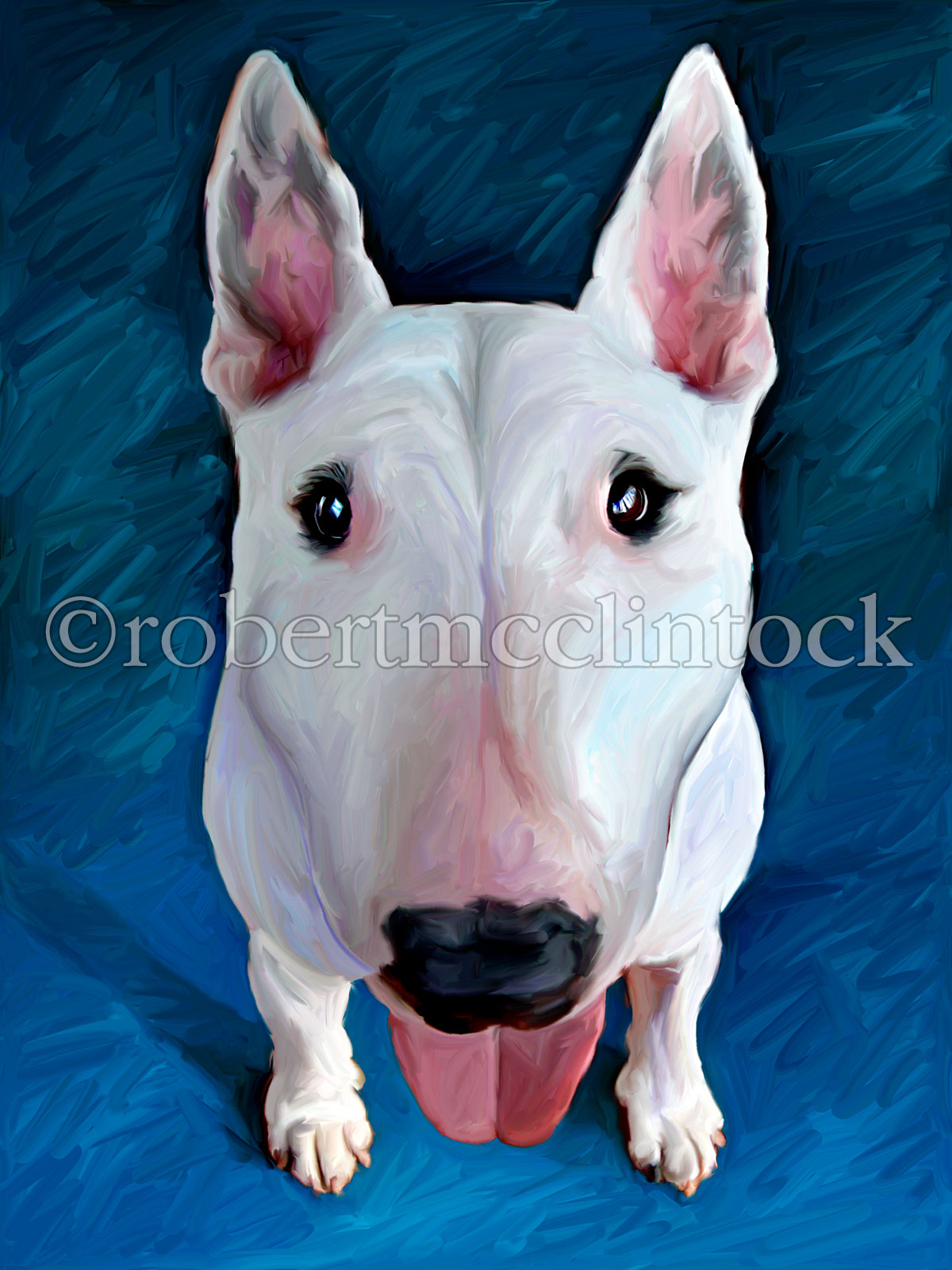 bull-terrier-white-bronson.jpg