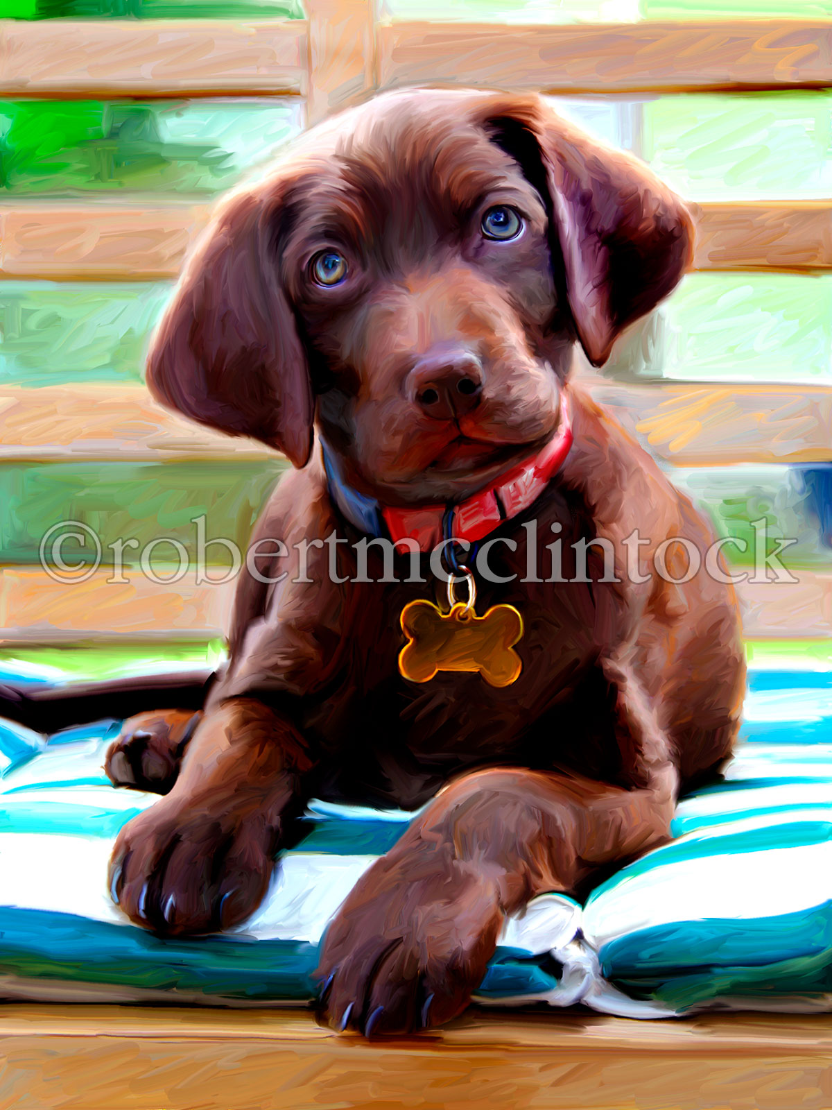 chocolate-lab-echo.jpg