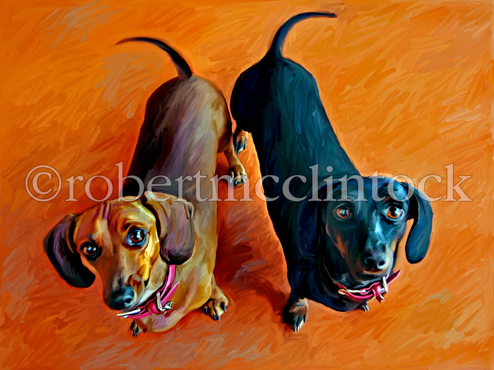 dachshund-double-dachsies.jpg