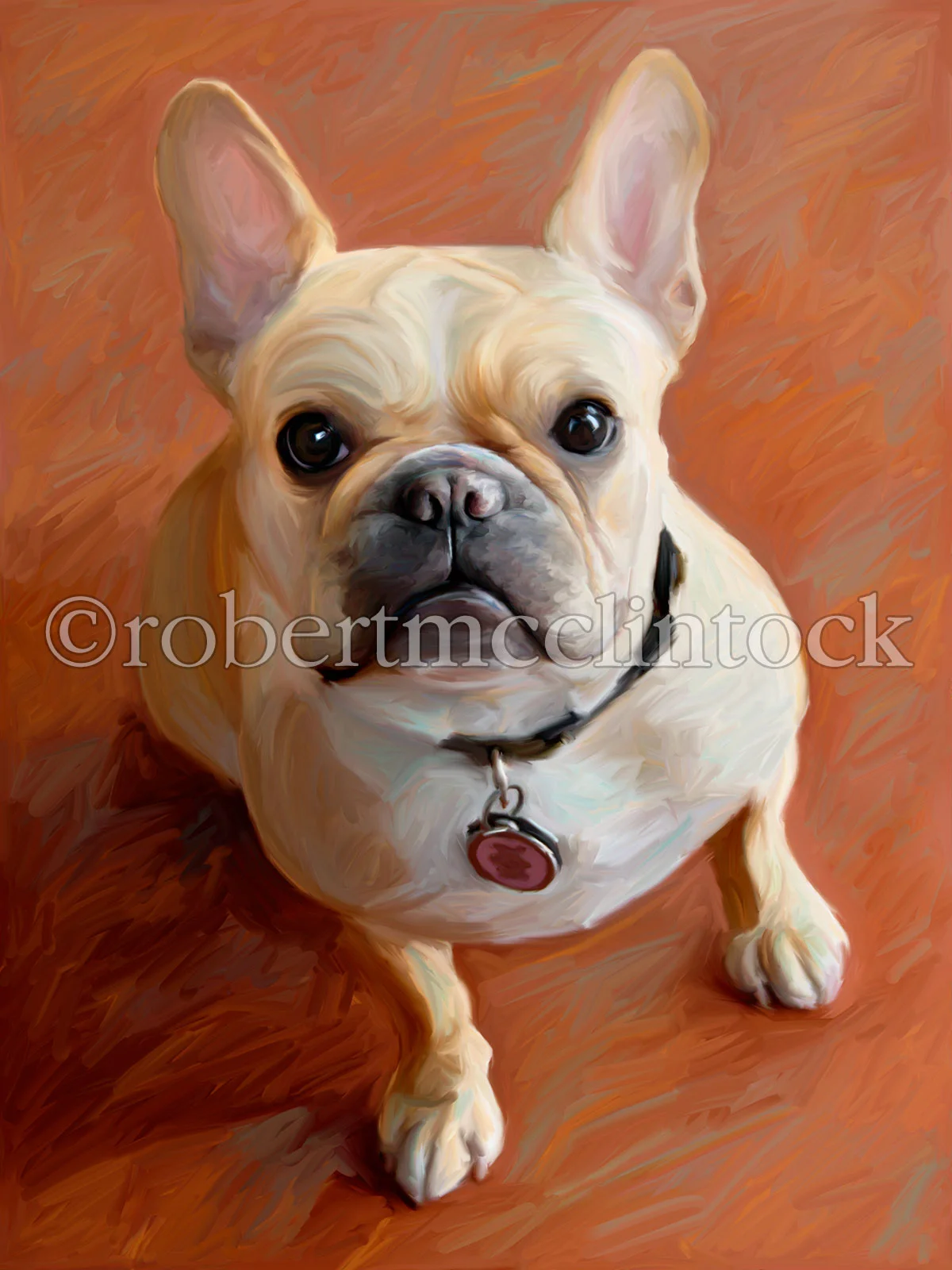 frenchie-sophie.jpg