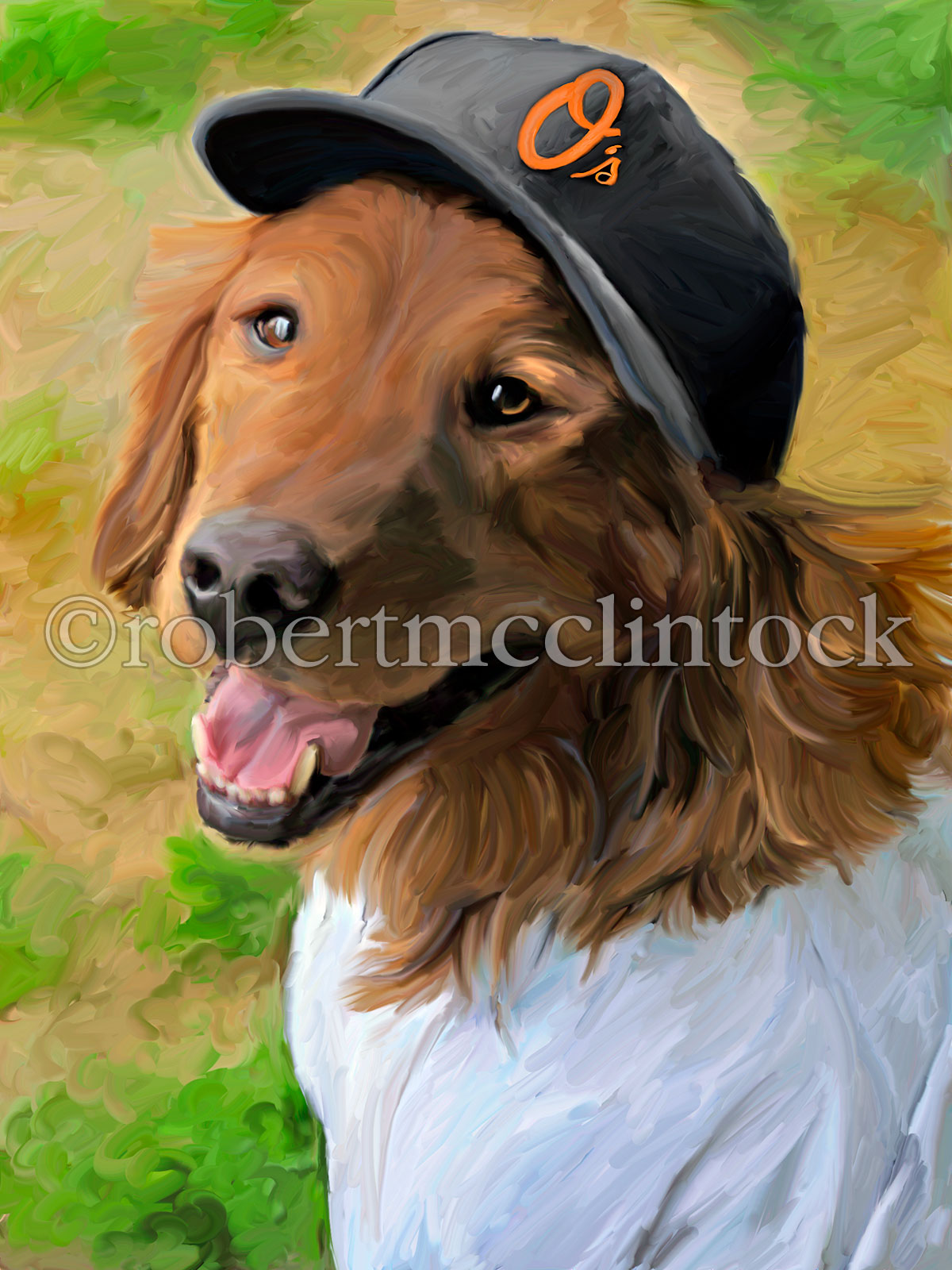 golden-retriever-orioles-gold.jpg
