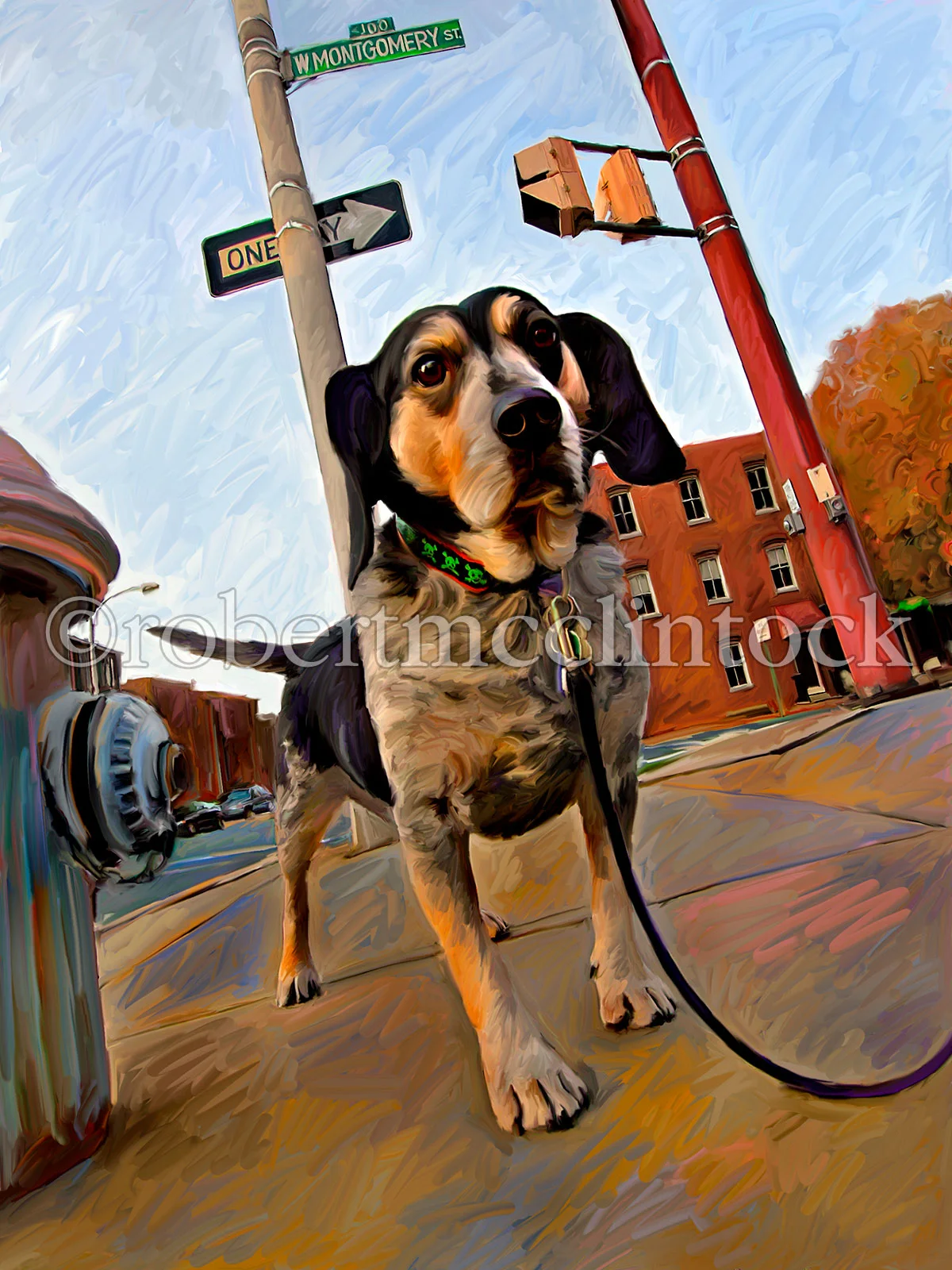 hound-sherman-the-city-walker.jpg