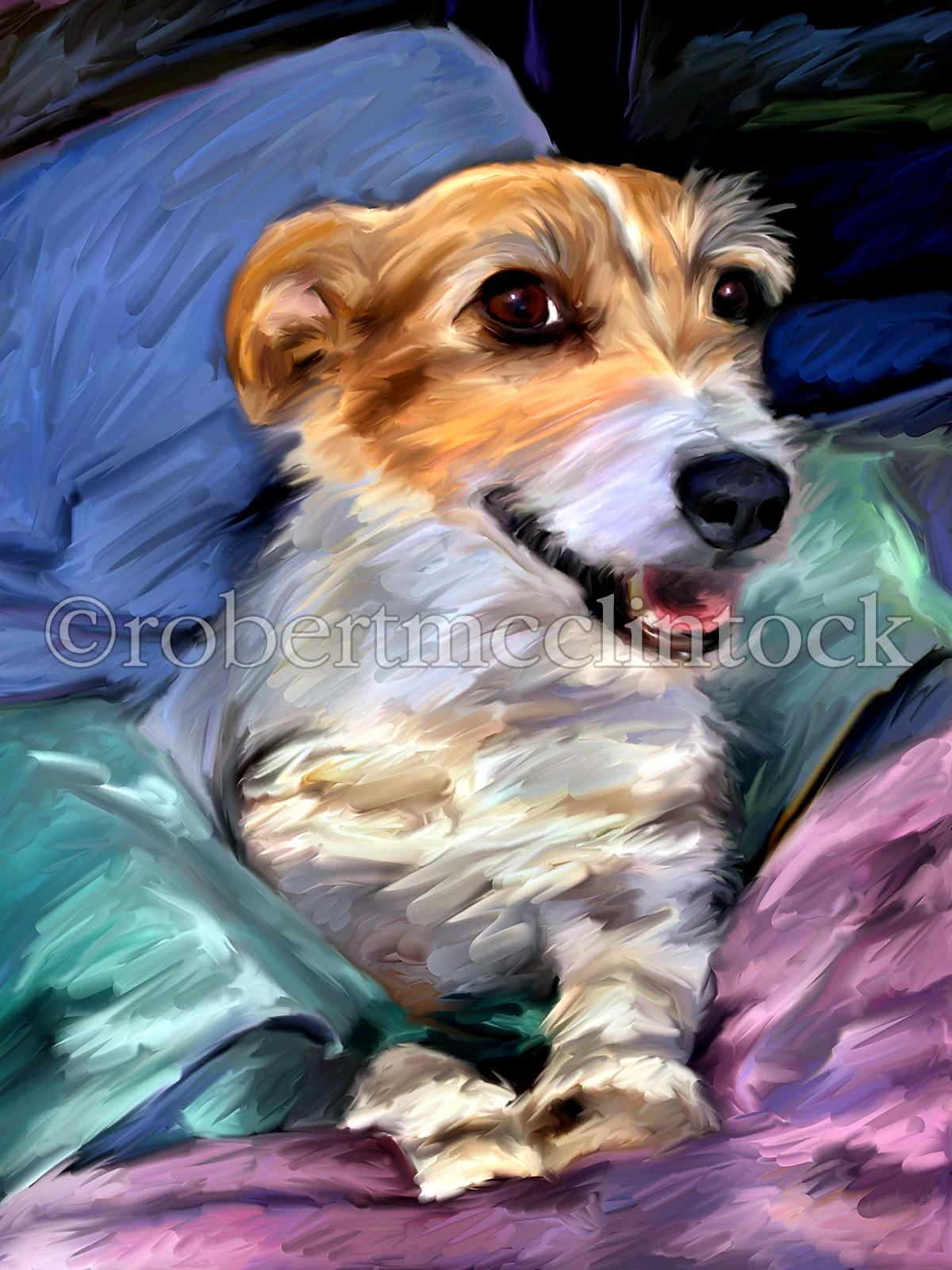 jack-russell-spike.jpg