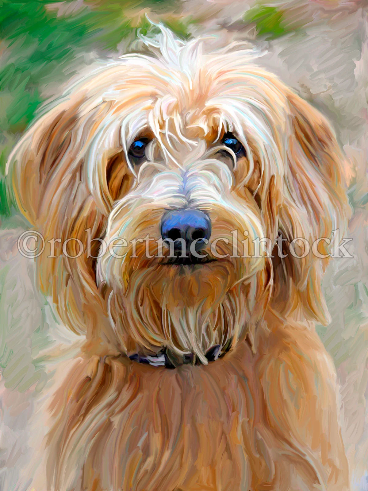 labradoodle-2-sandy.jpg