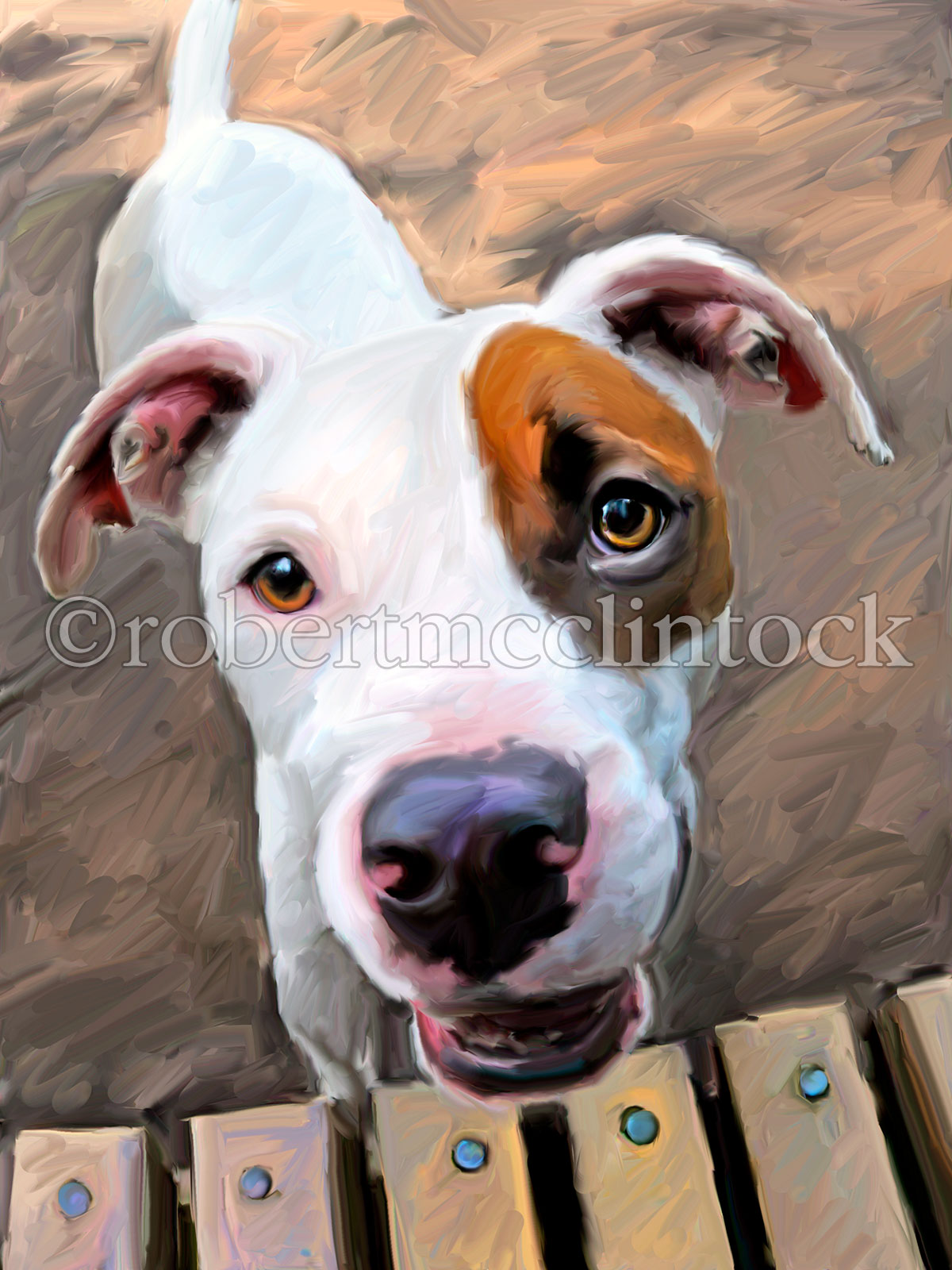 pit-bull-bull’s-eye.jpg