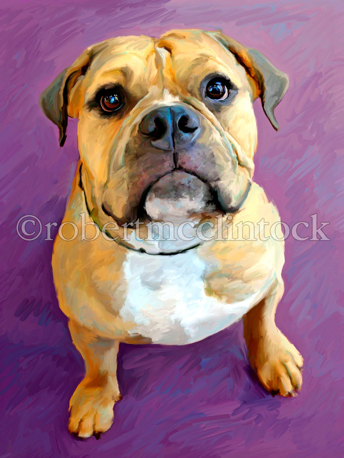 pit-bull-bunny.jpg