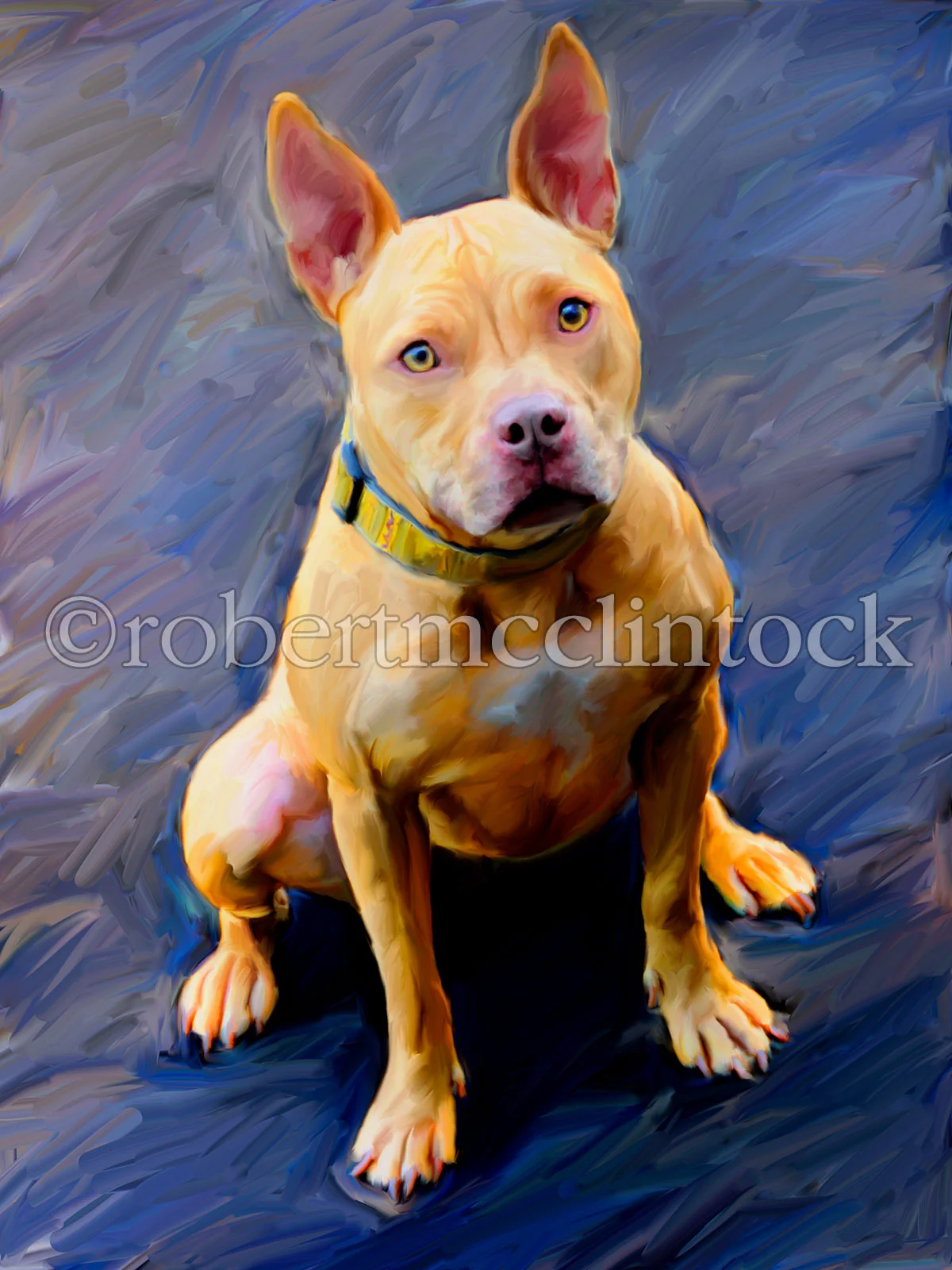 pit-bull-carlie.jpg