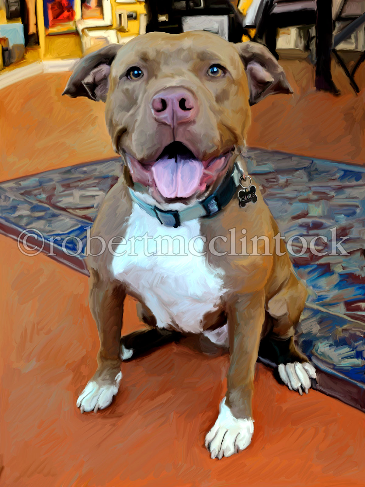 pit-bull-charlie.jpg