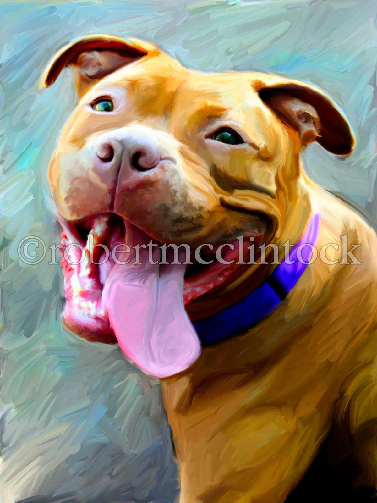 pit-bull-eddie.jpg