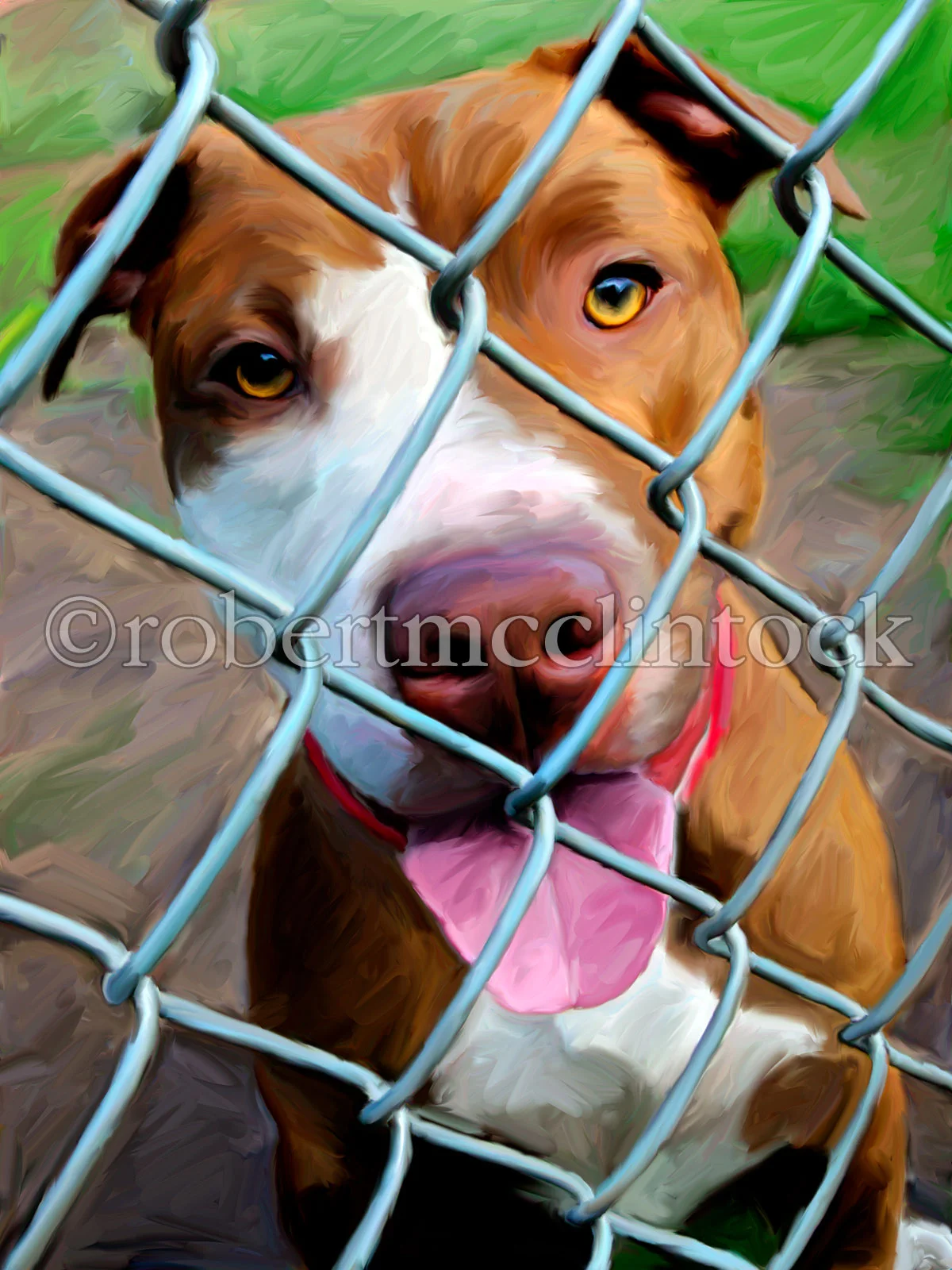 pit-bull-fence.jpg