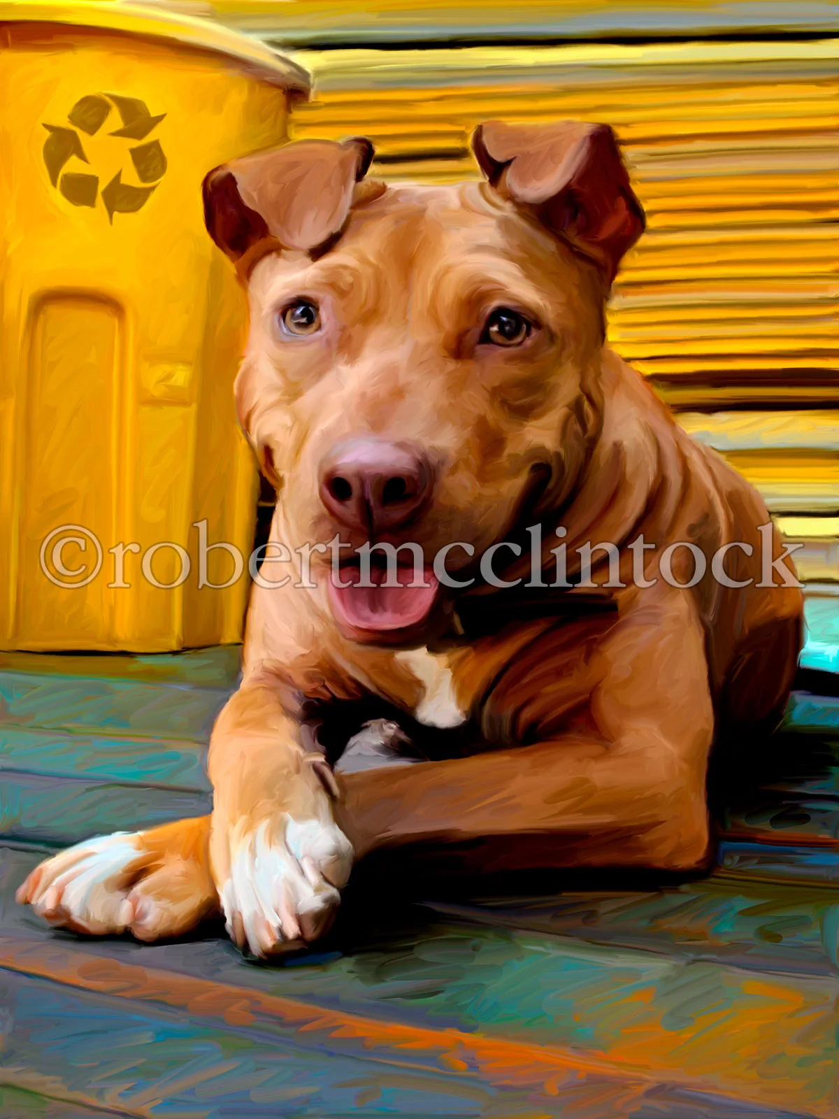 pit-bull-jasmine-sweet-jasmine.jpg