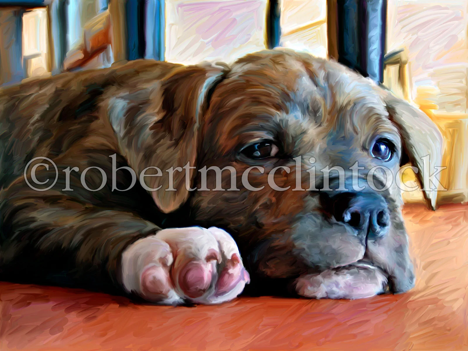 pit-bull-kratos-dog-knuckles.jpg