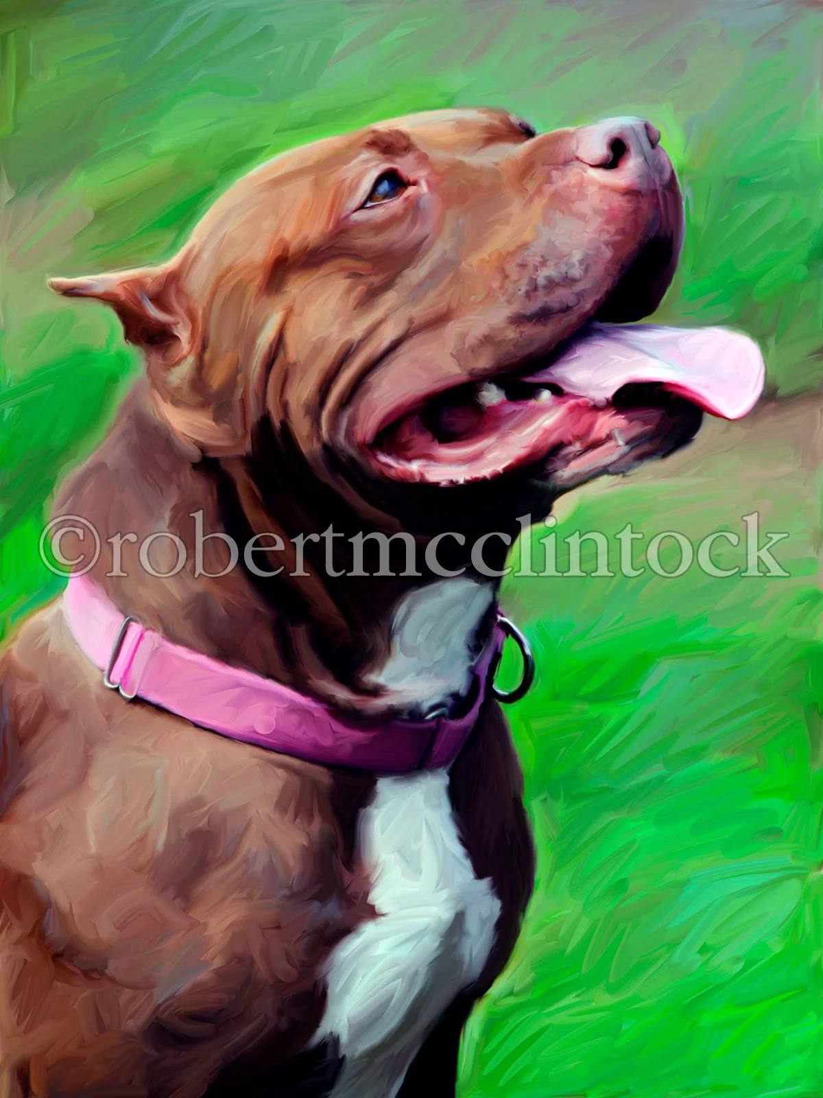 pit-bull-lady.jpg