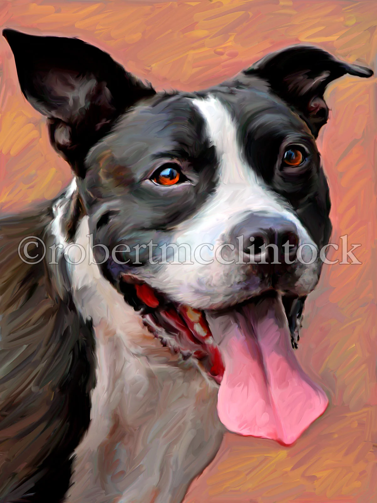 pit-bull-medina.jpg