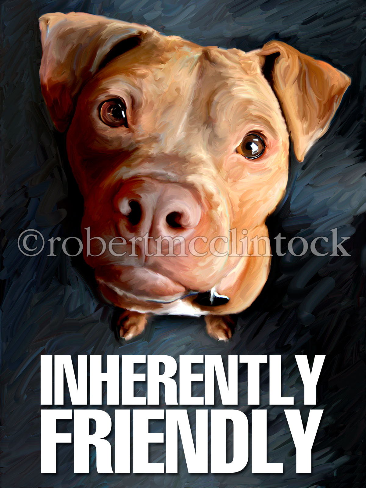 pit-bull-super-lou-inherently-friendly.jpg