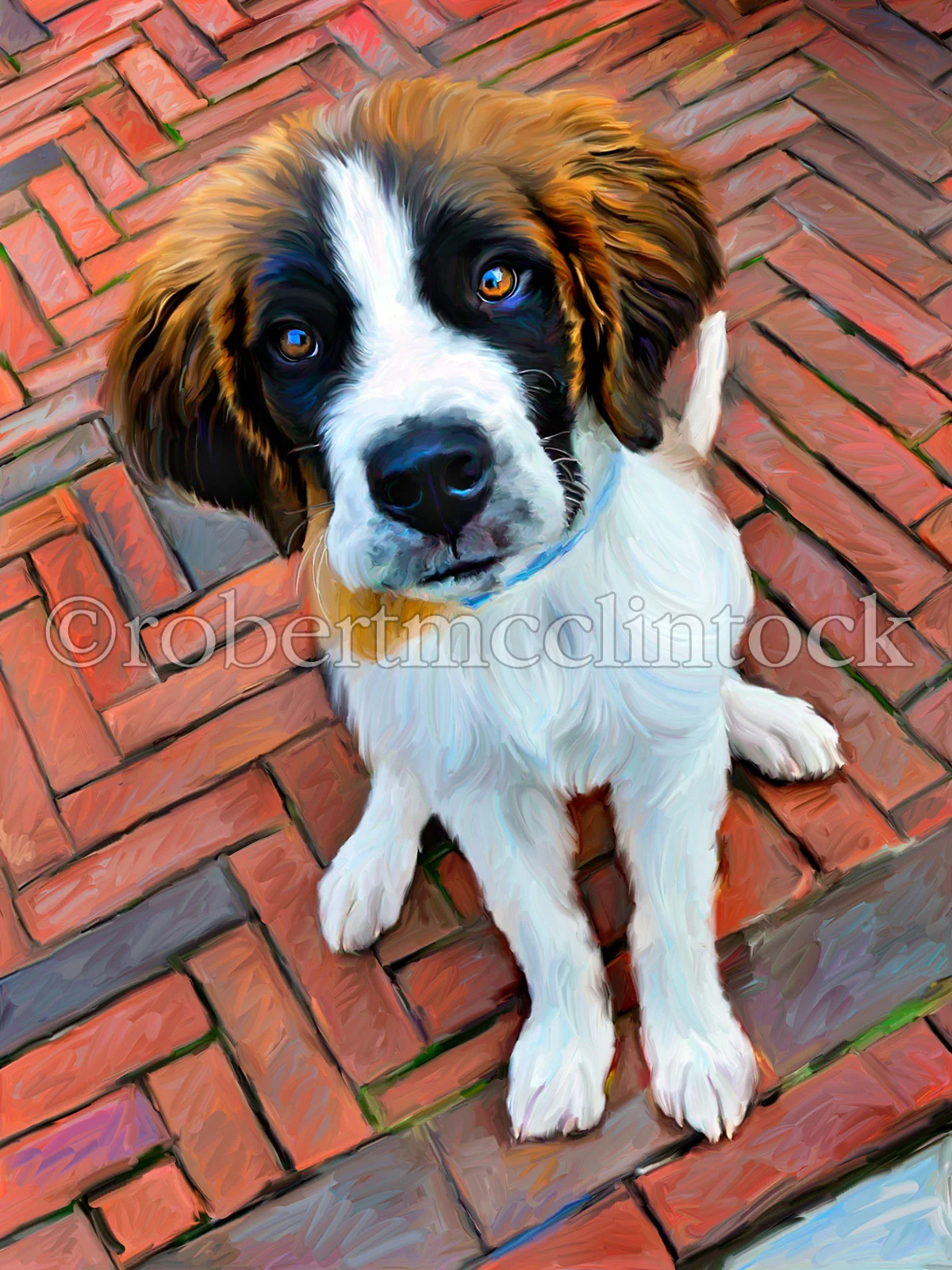 saint-bernard-rooney.jpg