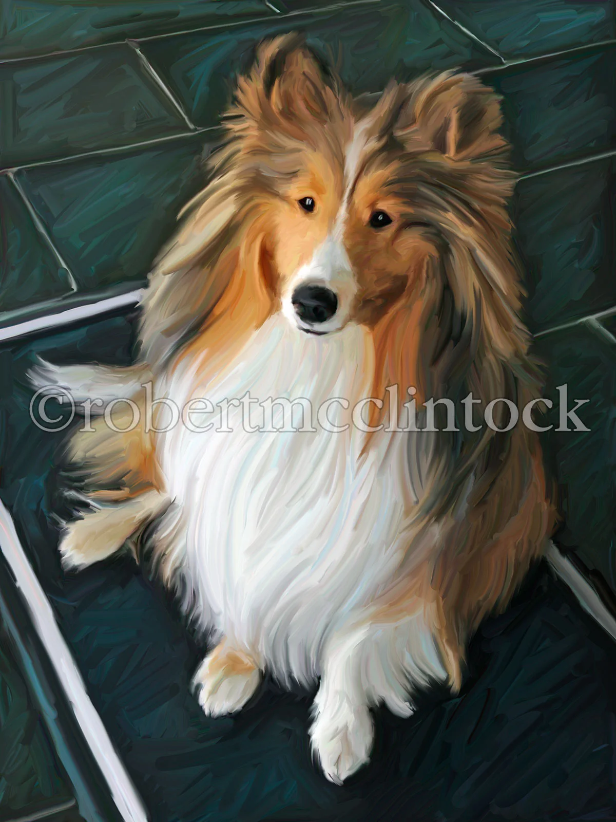 sheltie-bred-to-bark.jpg