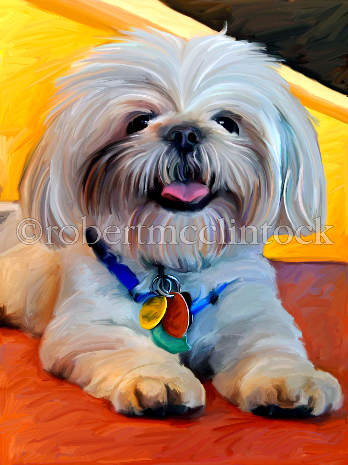 shih-tzu-new-shizoo.jpg