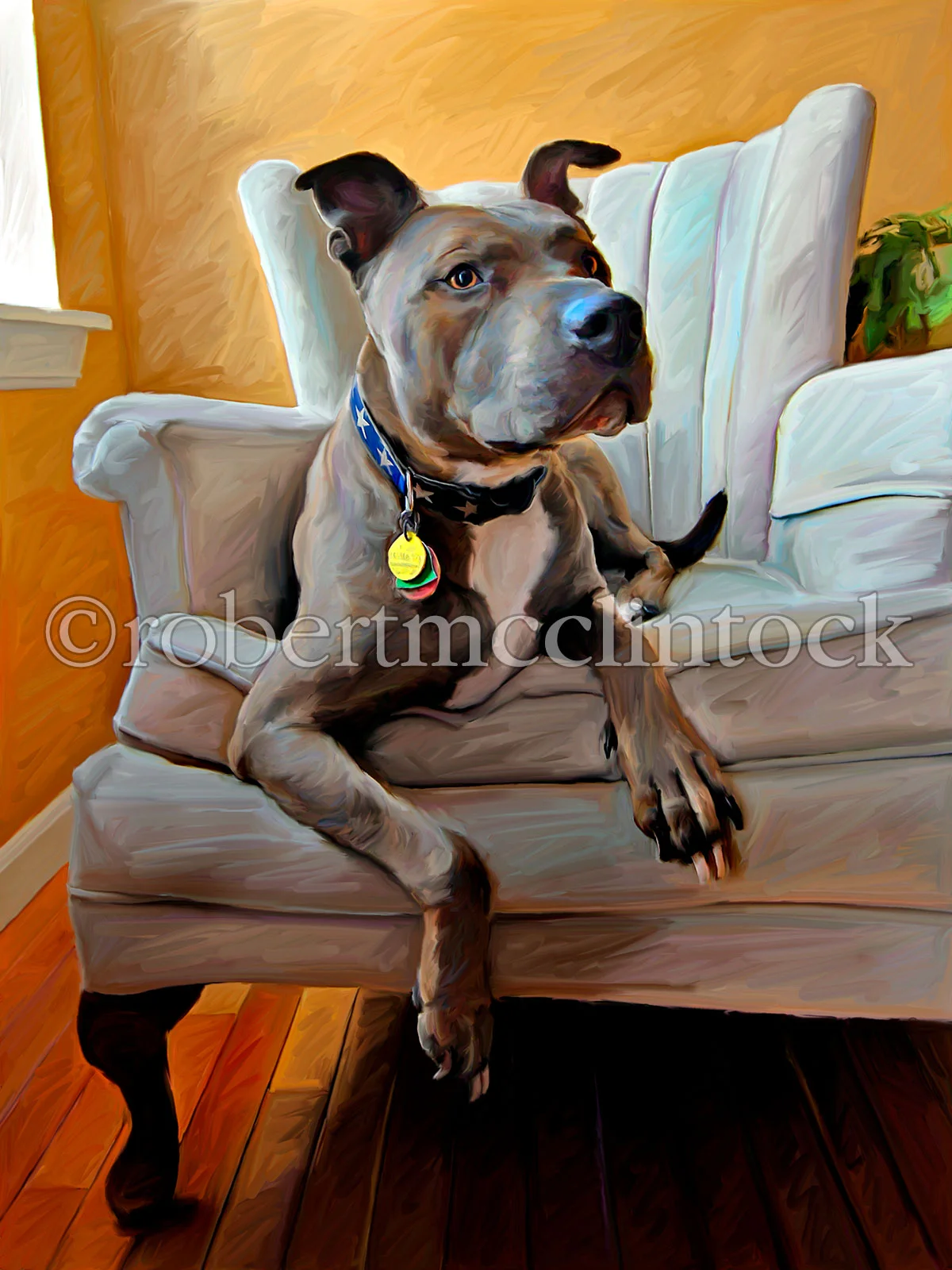 staffie-merlin.jpg