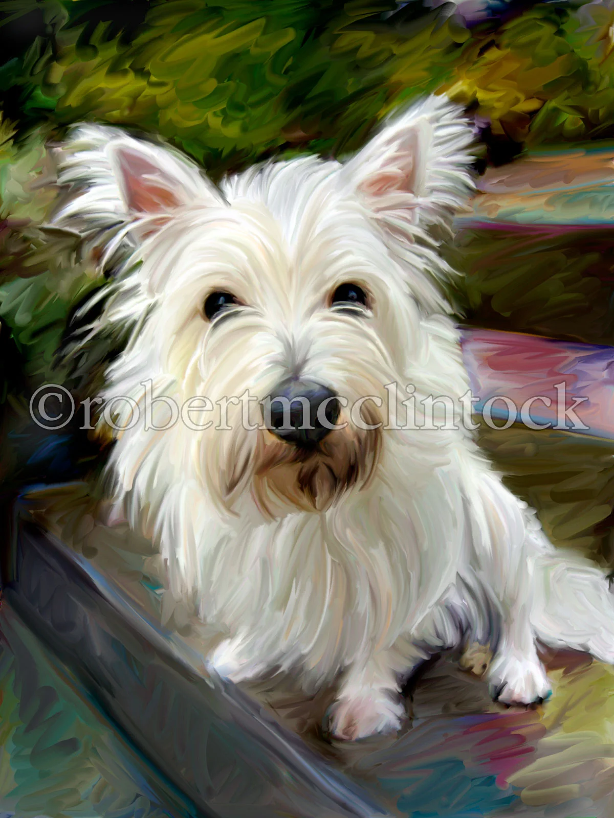 westie-eloise-little-westie.jpg