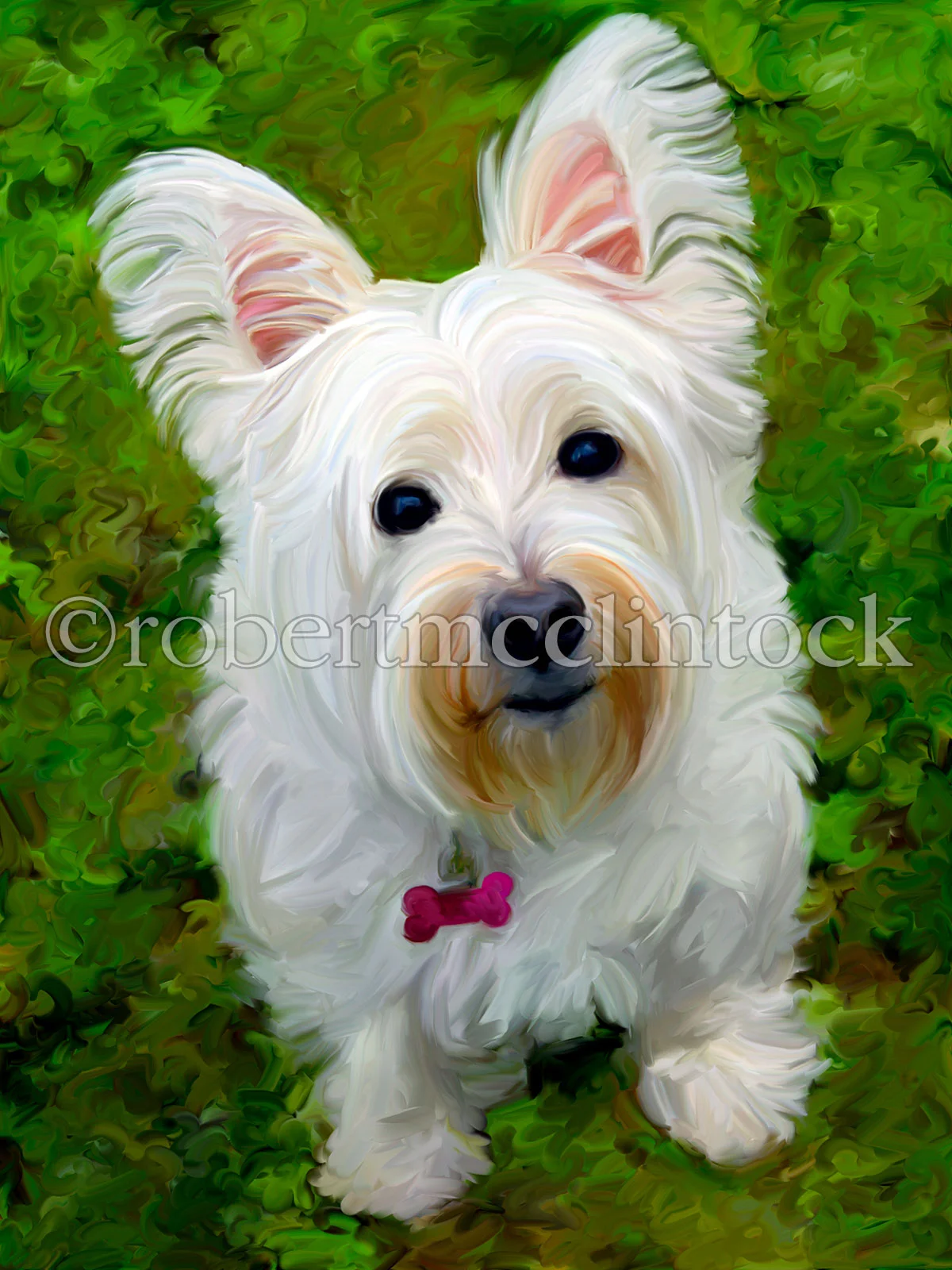 westie-noodle.jpg