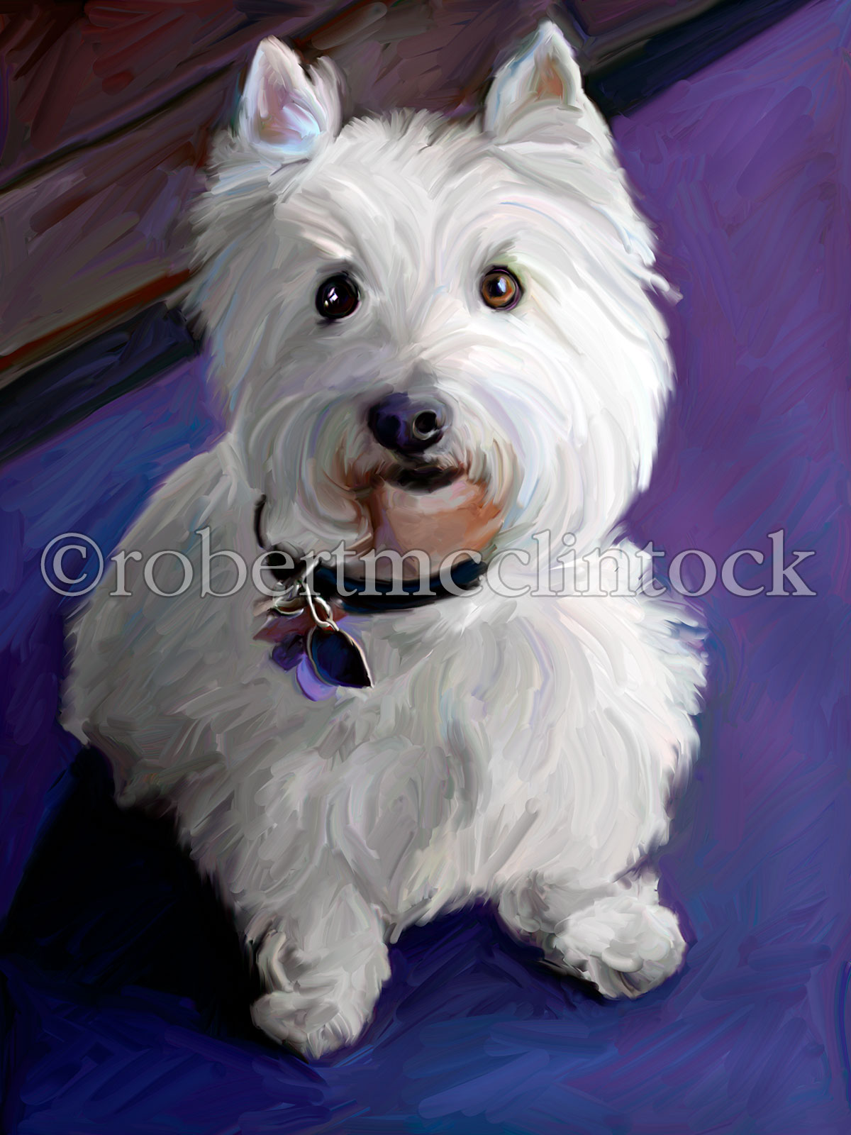 westie-perrier-terrier.jpg