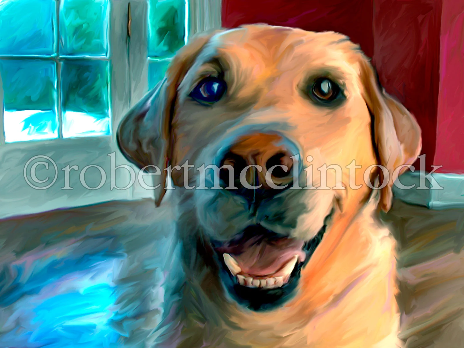 yellow-lab-happy-yellow.jpg