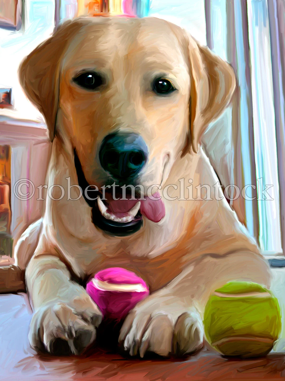 yellow-lab-norman-tennis-anyone.jpg