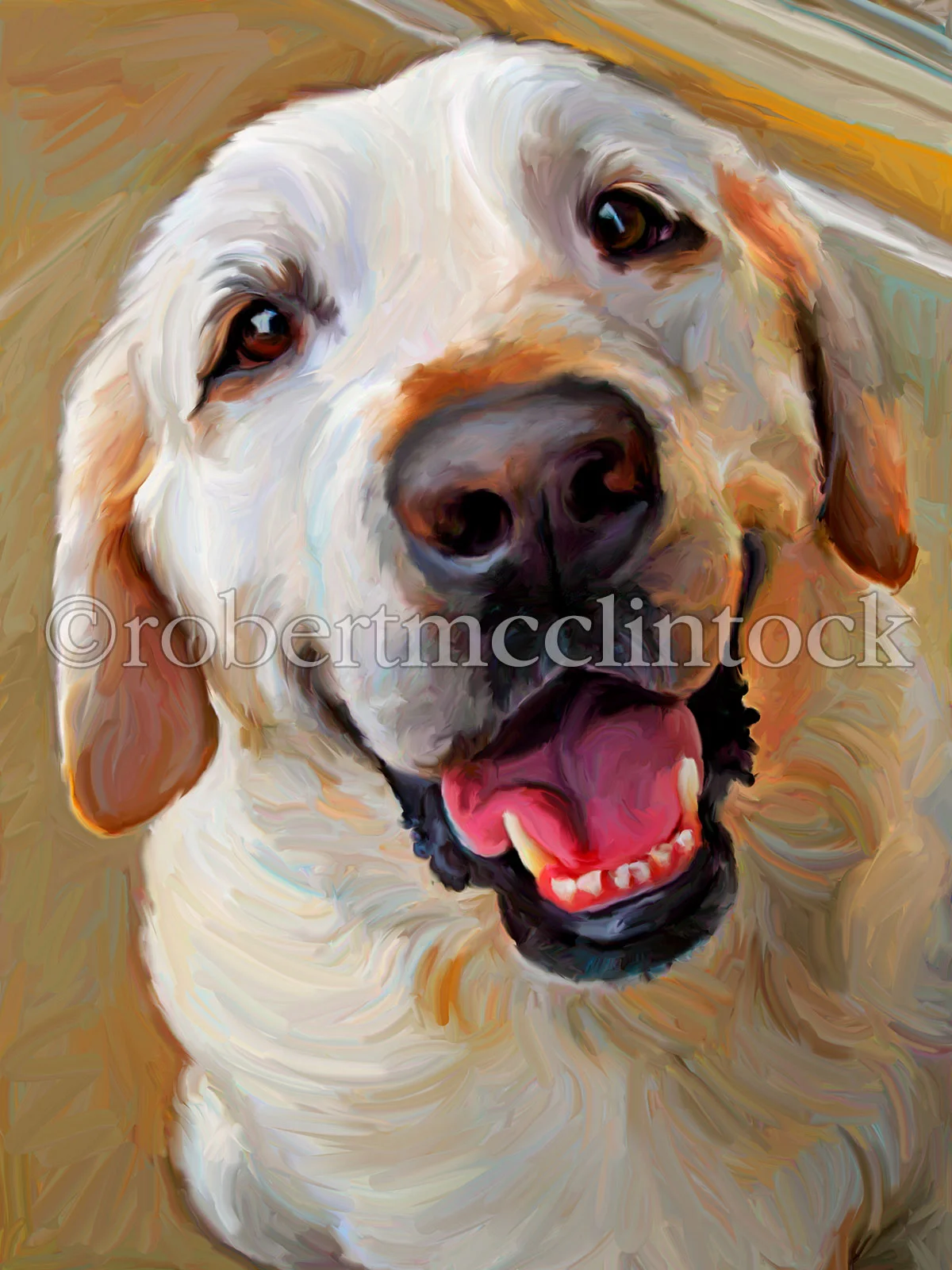 yellow-lab-seamus-when-do-we-eat.jpg