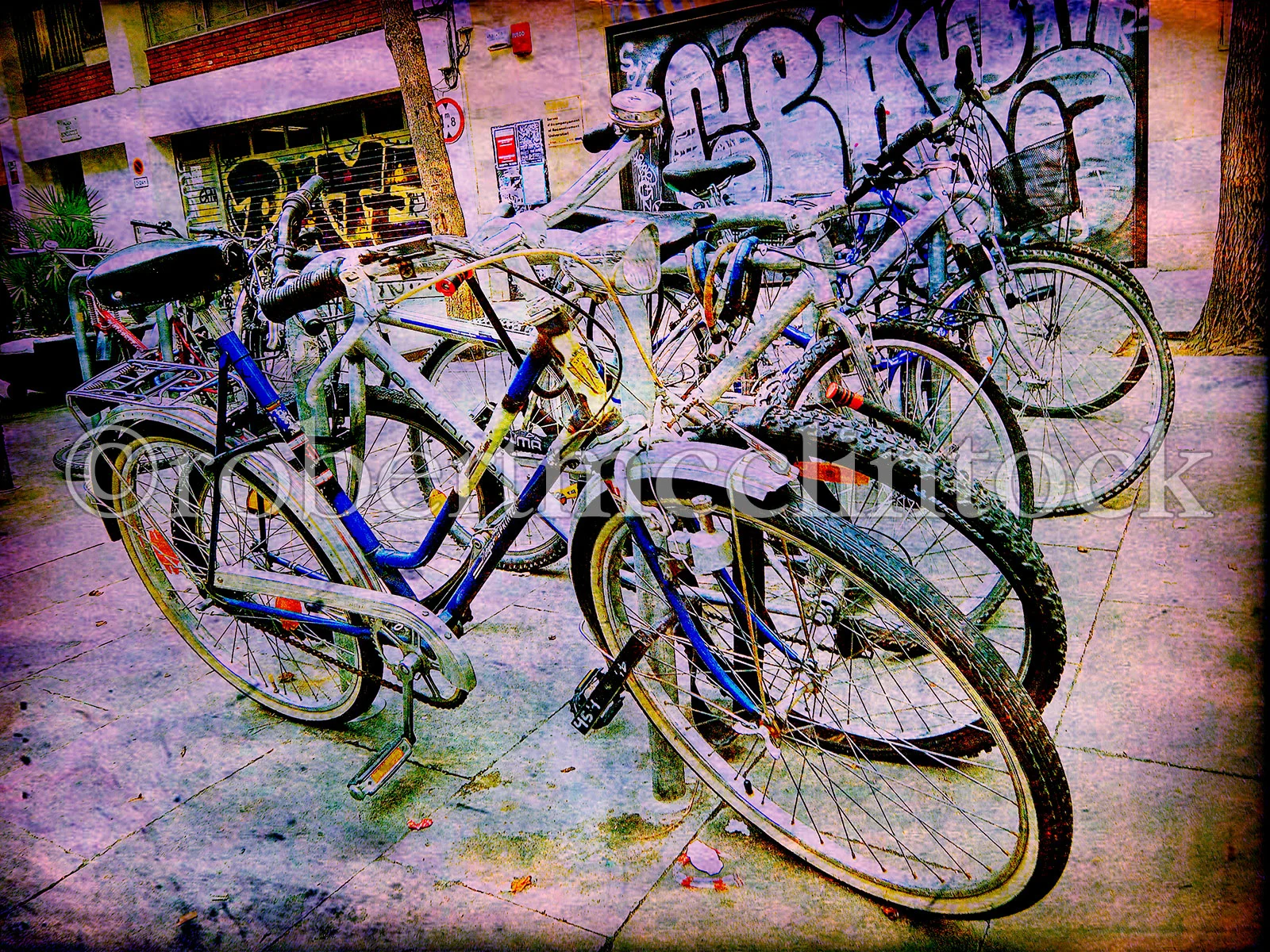 barca-bikes-1.jpg