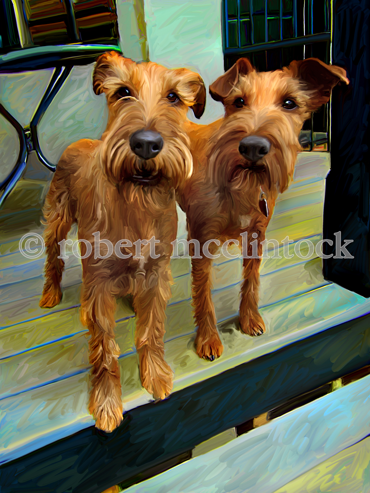 irish-terriers-769.jpg