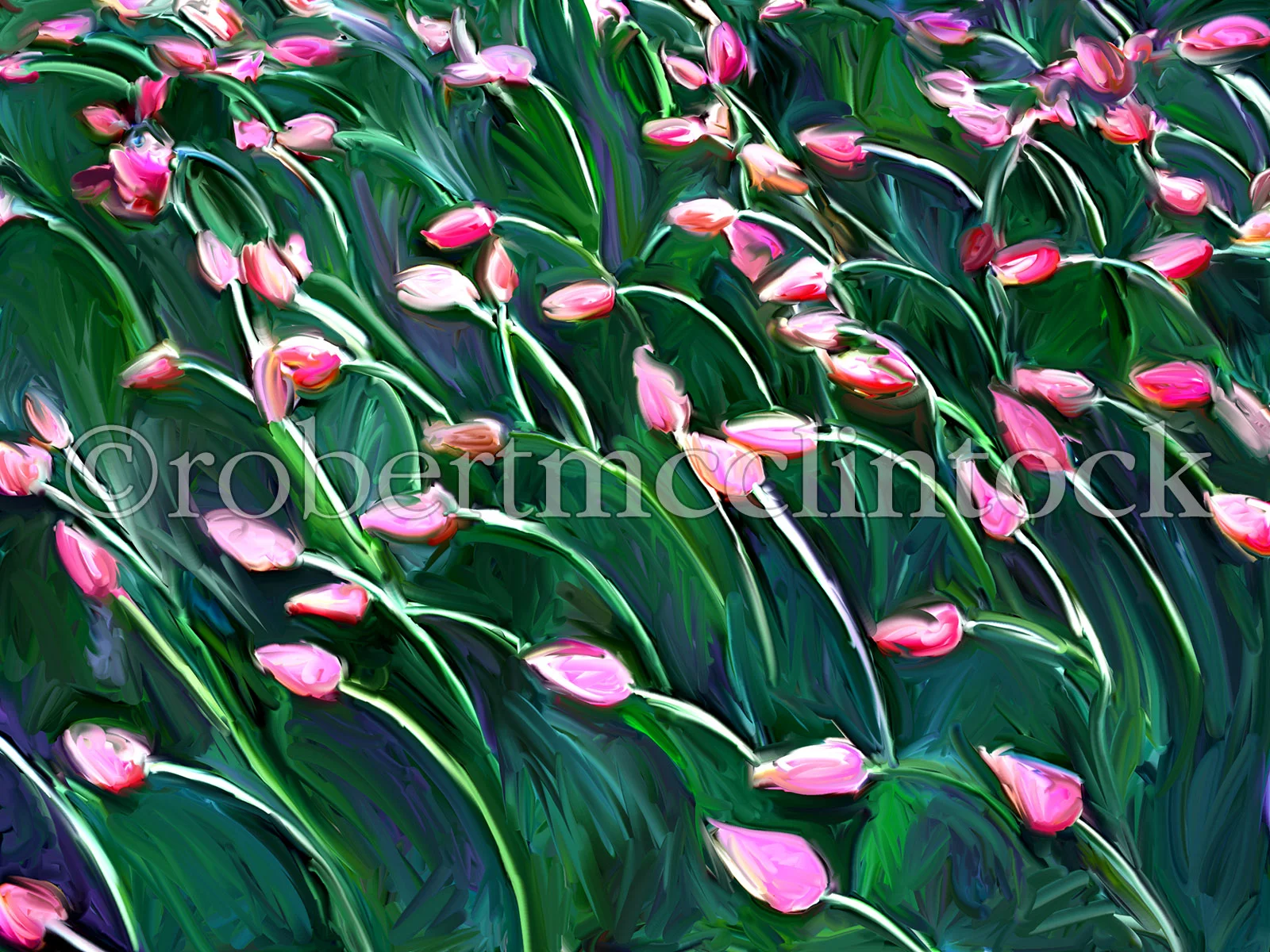 sherwood-tulips.jpg