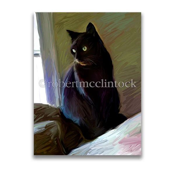 "BLACK CAT SITTING" - COOL CATS